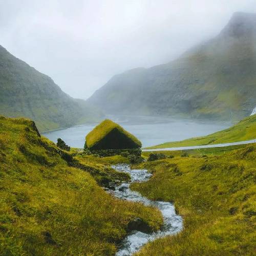  وقتی بارون میزنه ی سری بزن بم آخه عشقت واست یه سره دلتنگه